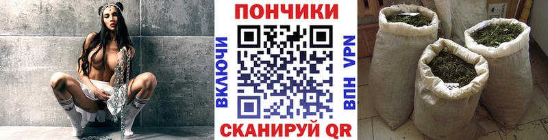 Каннабис семена  закладки  OMG ТОР  Ялта 
